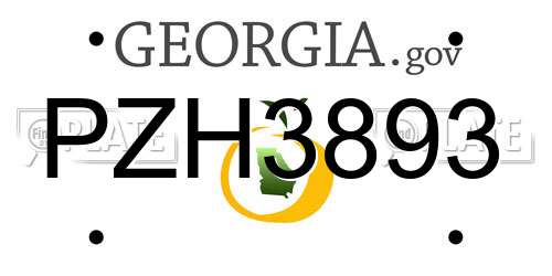 PZH3893 Georgia License Plate