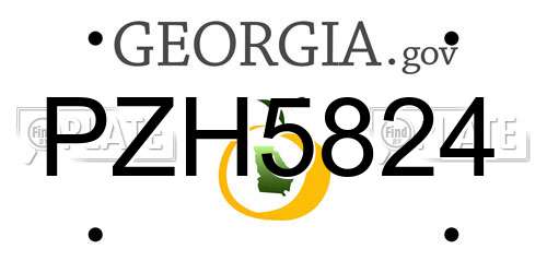 PZH5824 Georgia License Plate