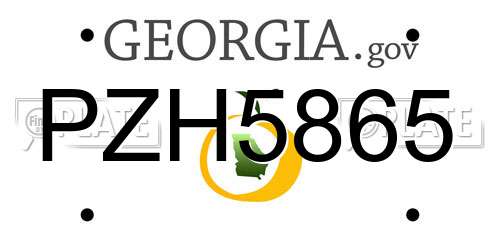 PZH5865 Georgia License Plate