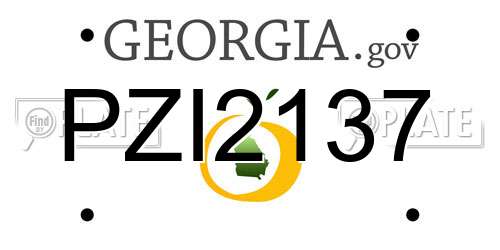 PZI2137 Georgia License Plate