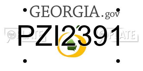 PZI2391 Georgia License Plate