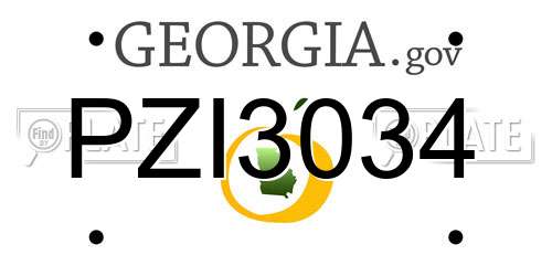 PZI3034 Georgia License Plate