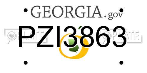PZI3863 Georgia License Plate