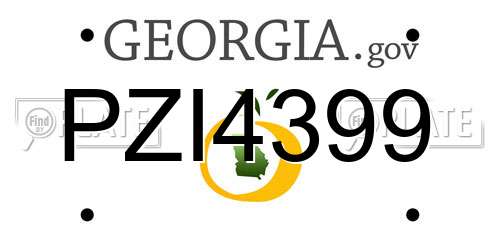 PZI4399 Georgia License Plate