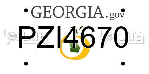 PZI4670 Georgia License Plate