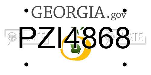 PZI4868 Georgia License Plate