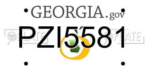 PZI5581 Georgia License Plate