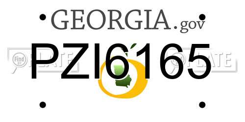 PZI6165 Georgia License Plate