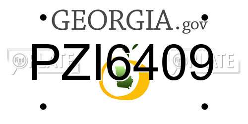 PZI6409 Georgia License Plate