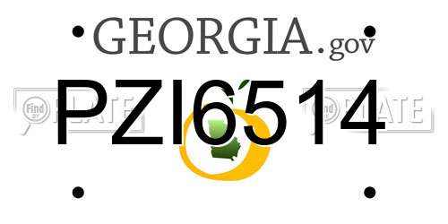 PZI6514 Georgia License Plate