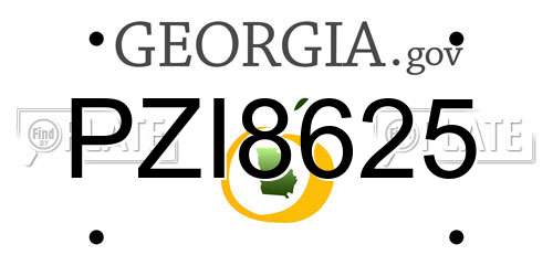 PZI8625 Georgia License Plate