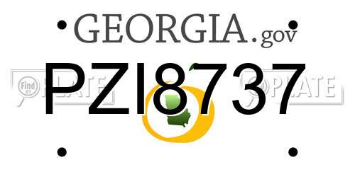 PZI8737 Georgia License Plate