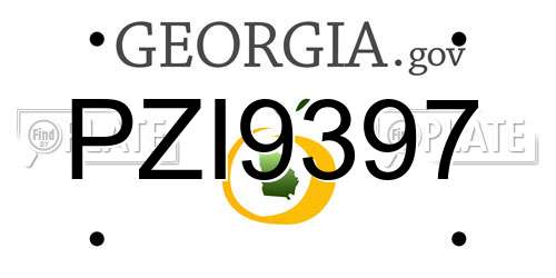 PZI9397 Georgia License Plate