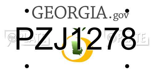 PZJ1278 Georgia License Plate