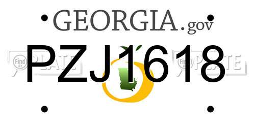 PZJ1618 Georgia License Plate