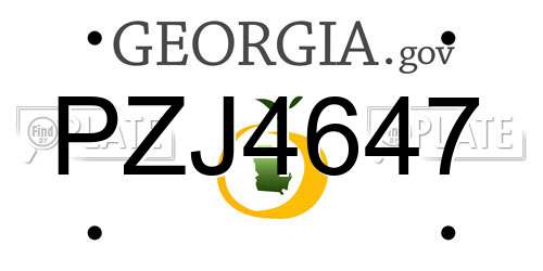PZJ4647 Georgia License Plate