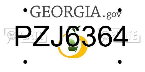 PZJ6364 Georgia License Plate