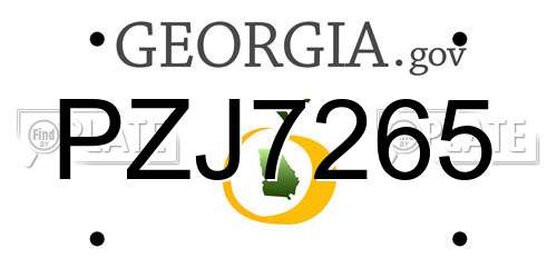 PZJ7265 Georgia License Plate