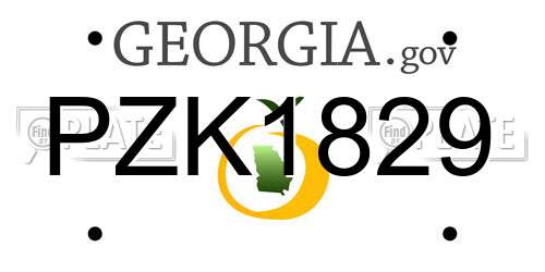 PZK1829 Georgia License Plate