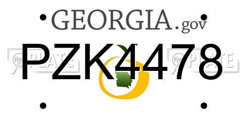 PZK4478 Georgia License Plate