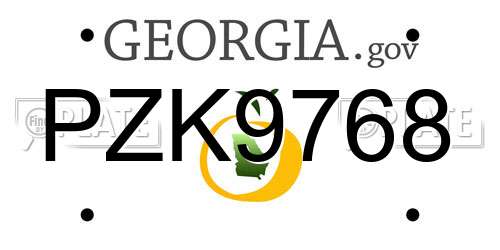PZK9768 Georgia License Plate