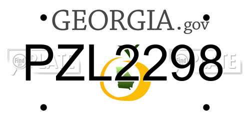 PZL2298 Georgia License Plate