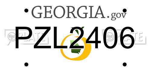 PZL2406 Georgia License Plate