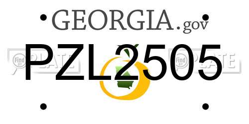 PZL2505 Georgia License Plate
