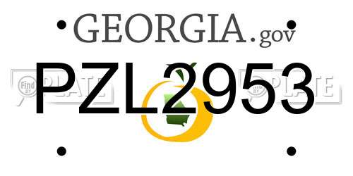 PZL2953 Georgia License Plate