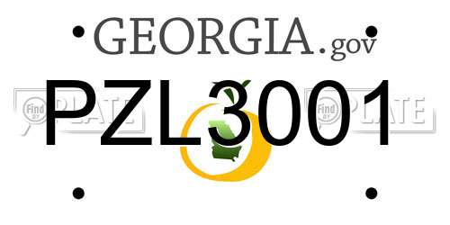 PZL3001 Georgia License Plate