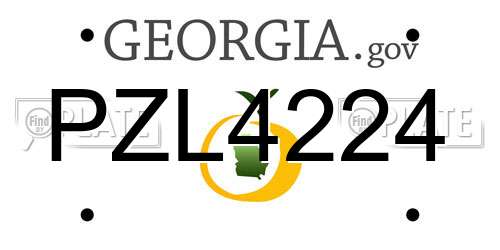 PZL4224 Georgia License Plate