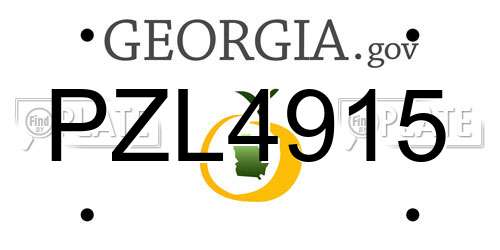 PZL4915 Georgia License Plate