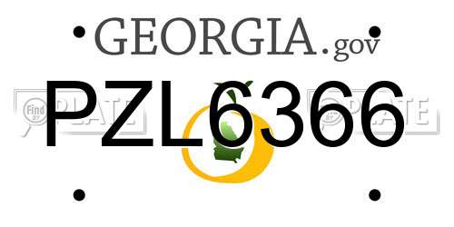 PZL6366 Georgia License Plate