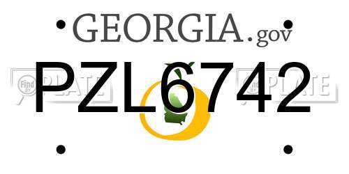 PZL6742 Georgia License Plate