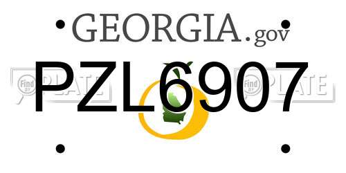 PZL6907 Georgia License Plate