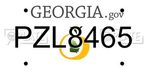 PZL8465 Georgia License Plate