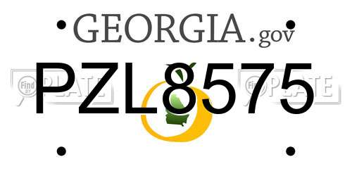 PZL8575 Georgia License Plate