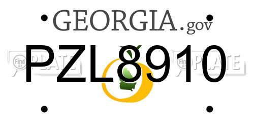PZL8910 Georgia License Plate