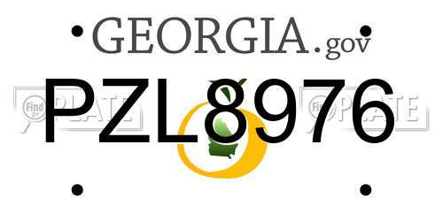 PZL8976 Georgia License Plate