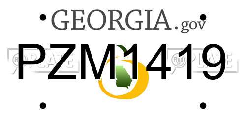 PZM1419 Georgia License Plate