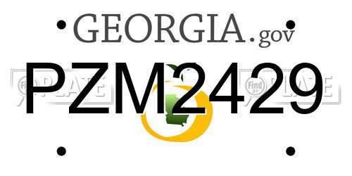 PZM2429 Georgia License Plate