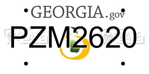 PZM2620 Georgia License Plate