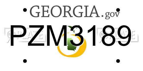 PZM3189 Georgia License Plate