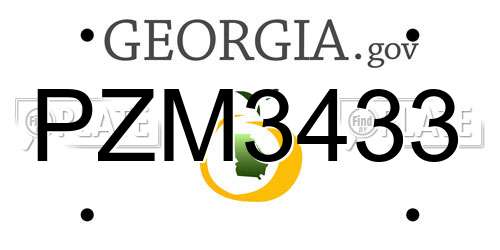 PZM3433 Georgia License Plate