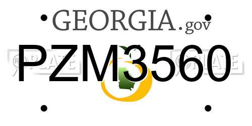 PZM3560 Georgia License Plate