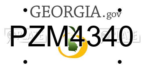 PZM4340 Georgia License Plate