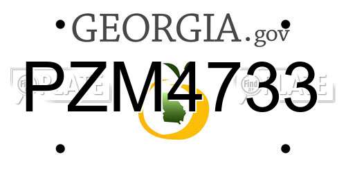 PZM4733 Georgia License Plate