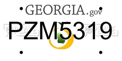 PZM5319 Georgia License Plate