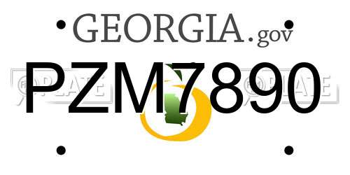 PZM7890 Georgia License Plate