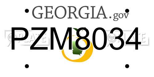 PZM8034 Georgia License Plate